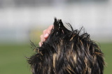 foot_20060603_044