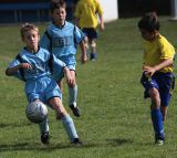 foot_20090829_075