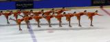 SUI_Starlight_JF_20070217_0230